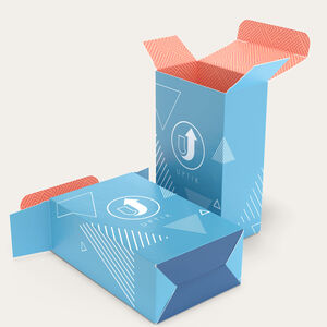 Snap-Lock Bottom Boxes