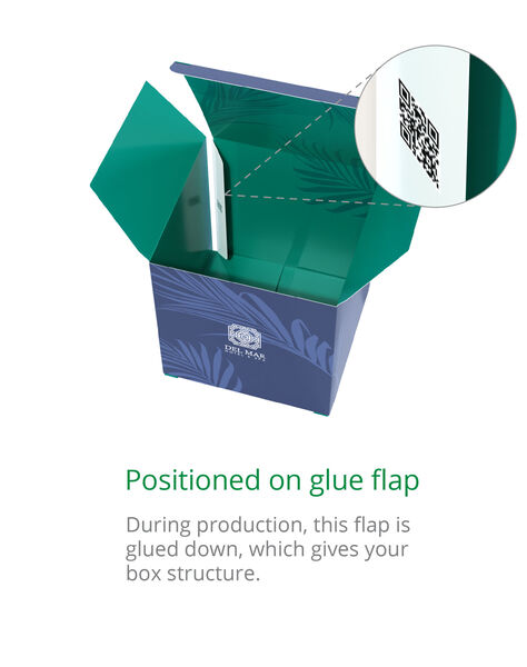 Positioned on Glue Flap