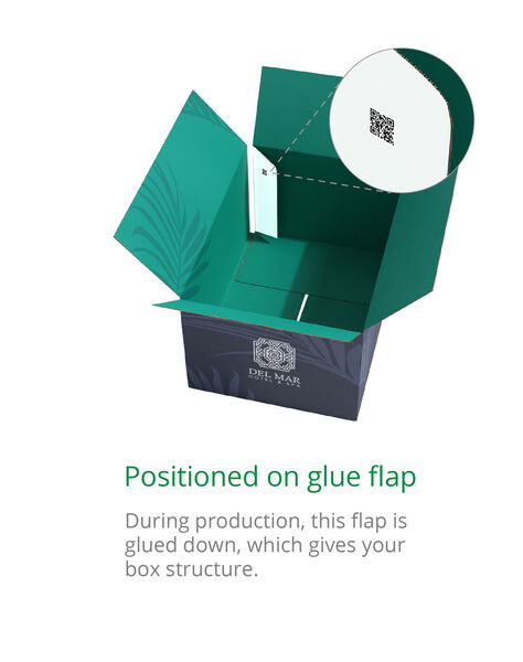 Positioned on glue flap